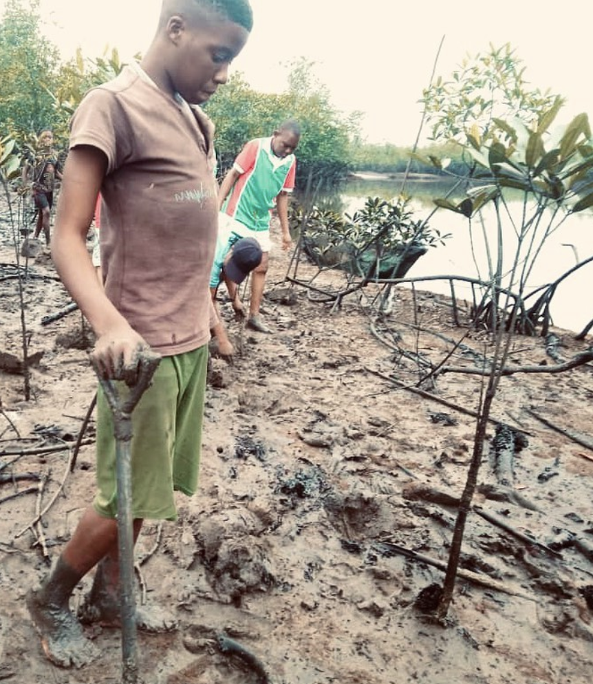 TREE PLANTING IN THE NIGER DELTA