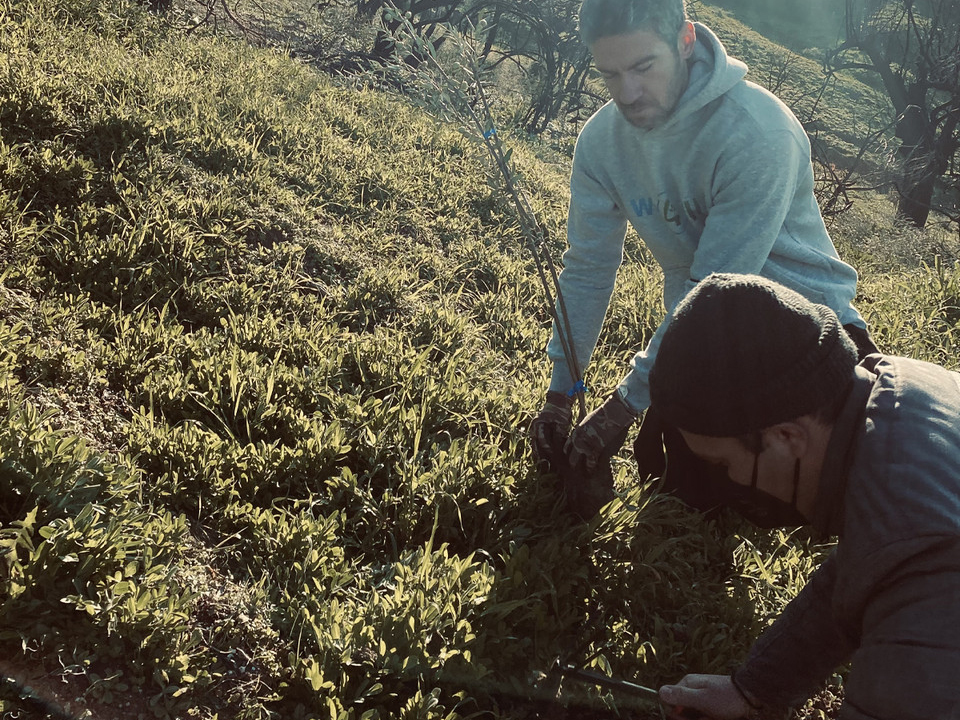 MULTIFACETED CONTRIBUTION TO THE ENVIRONMENT BY DAIKIN HELLAS FOR THE SECOND CONSECUTIVE YEAR AS AN EARTH PROTECTOR MEMBER OF THE ENVIRONMENTAL ALLIANCE 1