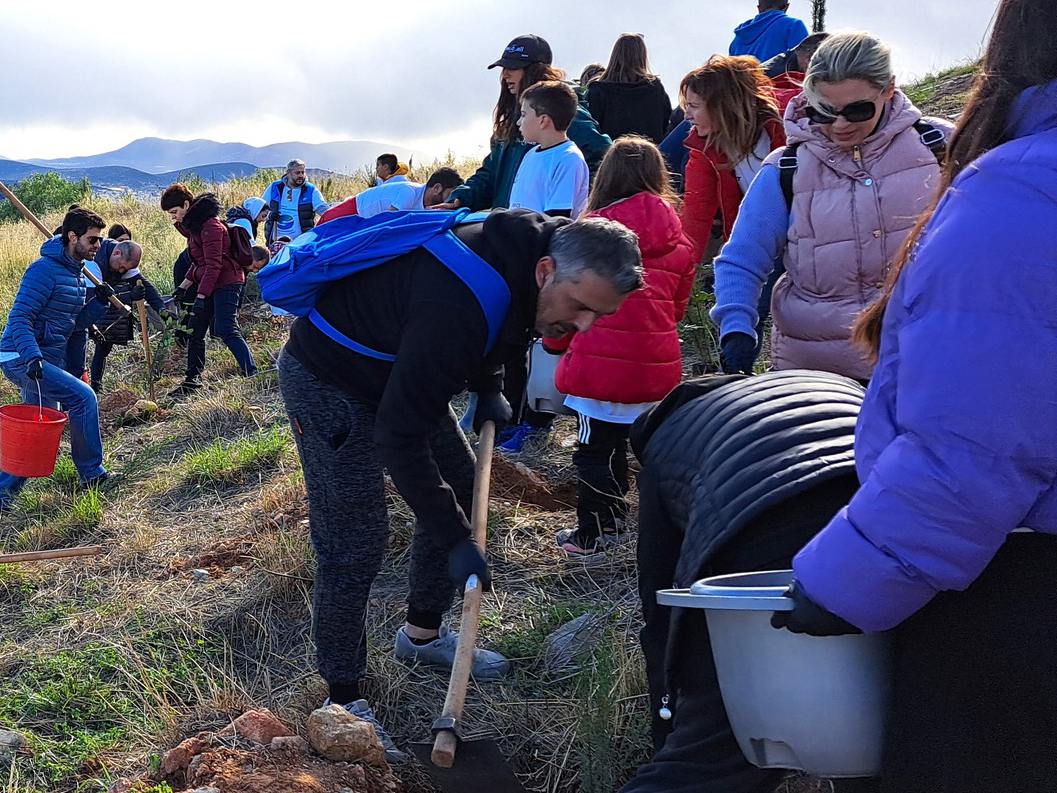 We4all and Euroclinic Group Plant 500 Trees for the Future 1