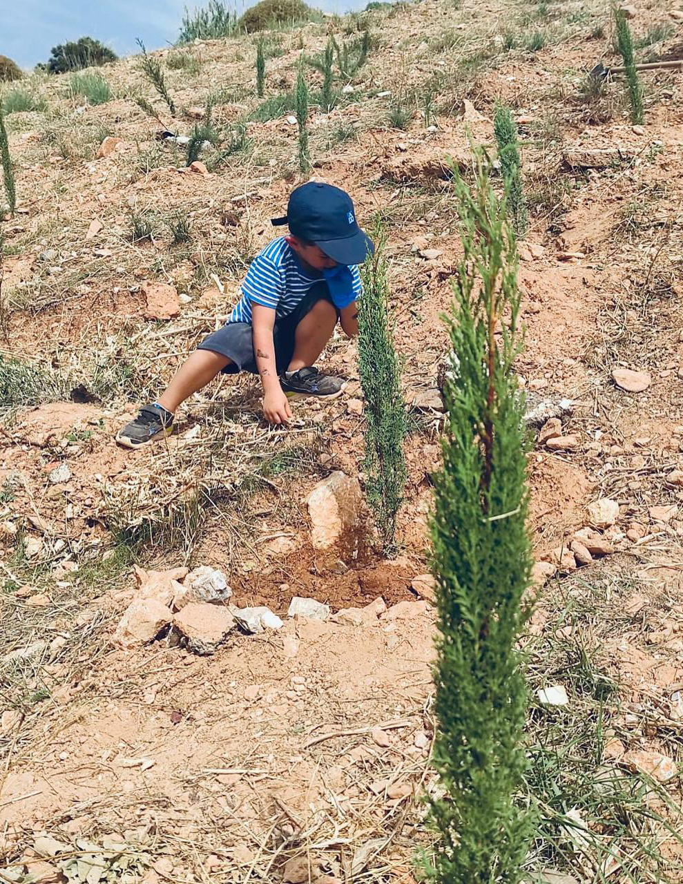 TREE PLANTING IN PAEANIA WITH AB VASSILOPOULOS 1