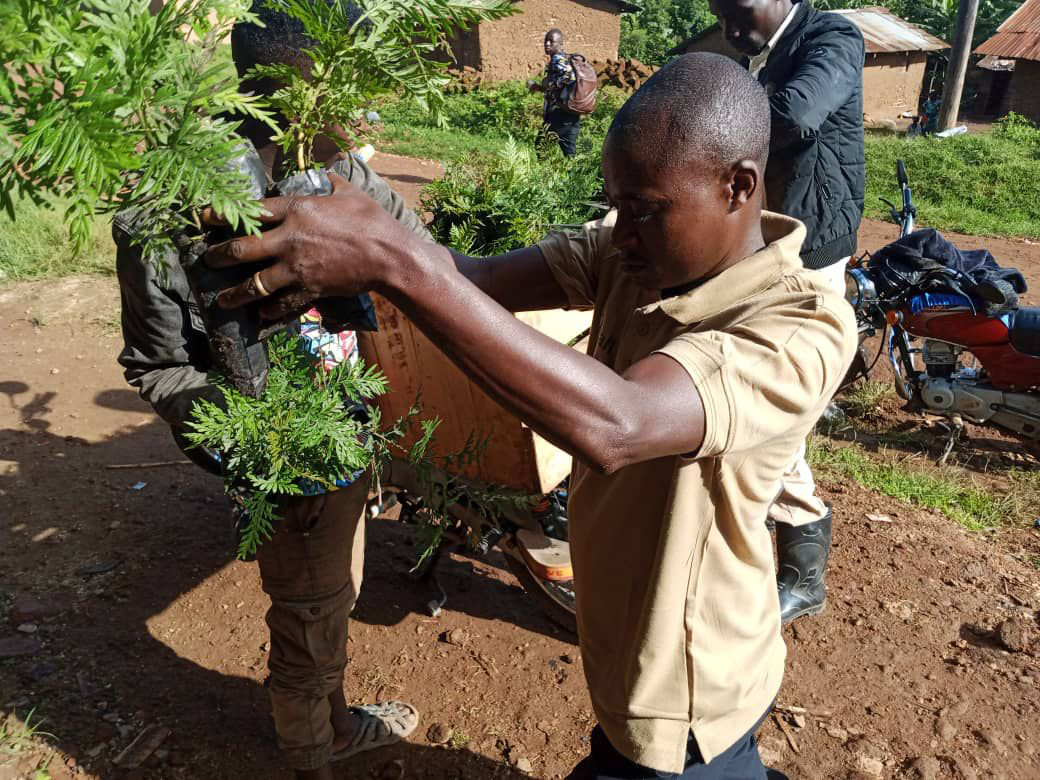 WE4ALL UGANDA - REFORESTATION IN THE RWENZORI MOUNTAINS 1