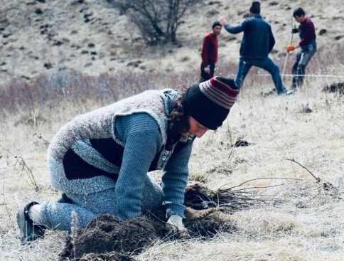 My Forest Armenia we4all