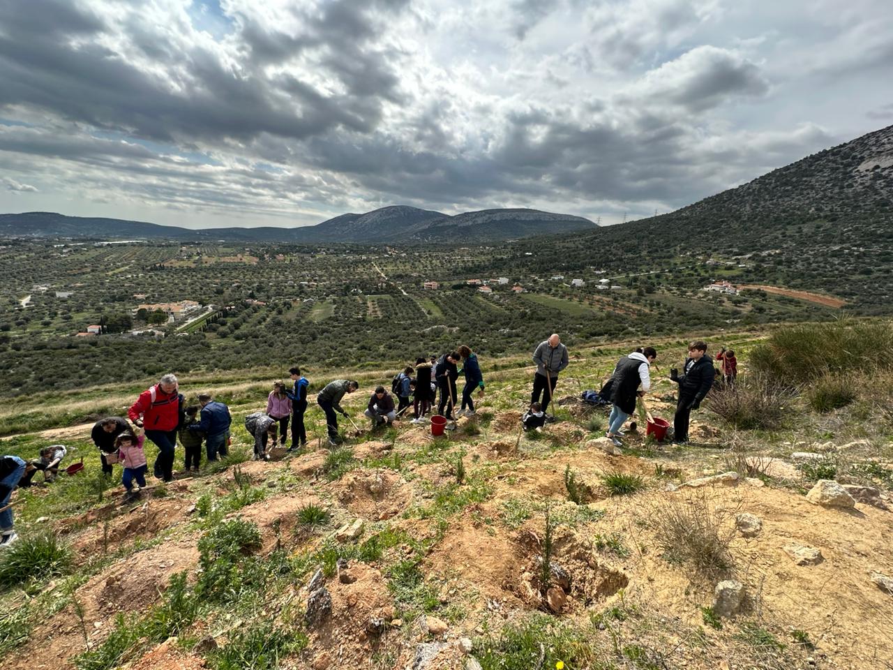 οτις 1